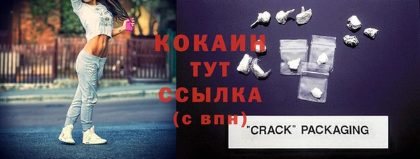 гидра Михайловка