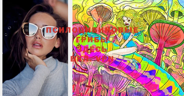 дживик Михайловск
