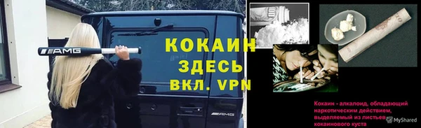 гидра Михайловка