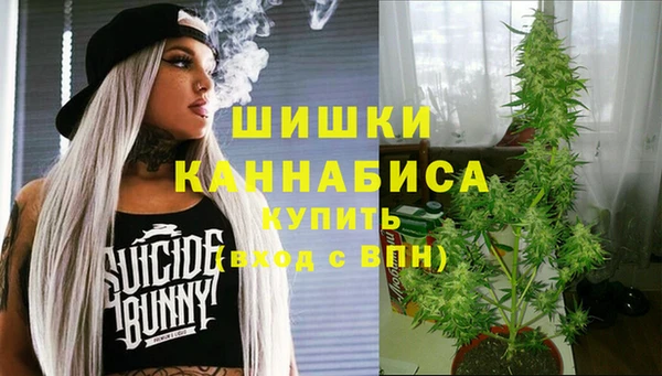 гидра Михайловка