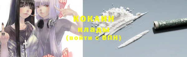гидра Михайловка