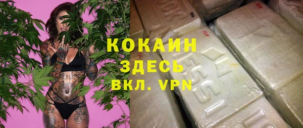 гидра Михайловка