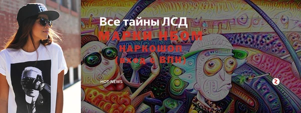 гидра Михайловка