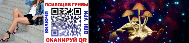 KRAKEN зеркало  Юхнов  Галлюциногенные грибы MAGIC MUSHROOMS 